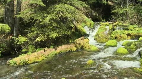 Big Spring Creek Falls 06 Stock Footage 7728216