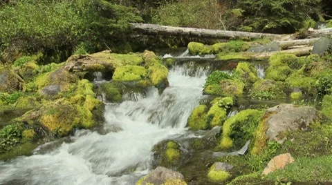 Big Spring Creek Falls 07 Video stock 7728258