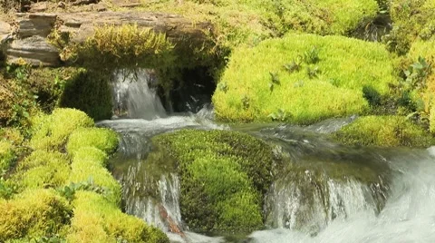 Big Spring Creek Falls 08 Stock Footage 7728309