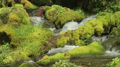 Big Spring Creek Falls 10 Video stock 7728406