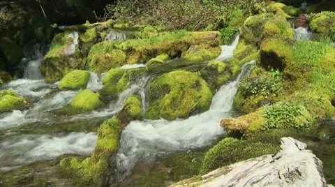 Big Spring Creek Falls 11 Stock Footage 7728414