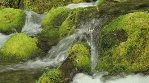Big Spring Creek Falls 12 Video stock 7728441
