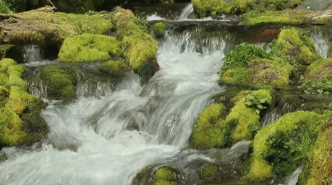 Big Spring Creek Falls 14 Stock Footage 7741941