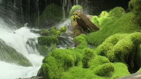 Big Spring Creek Falls 17 Stock Footage 7742253