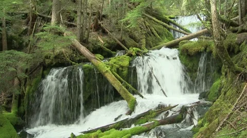 Big Spring Creek Falls 18 Stock Footage 7742448