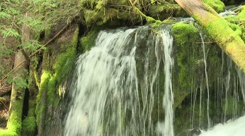 Big Spring Creek Falls 19 Stock Footage 7742522
