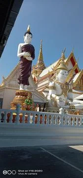 Big standing Buddha Stock Photos
