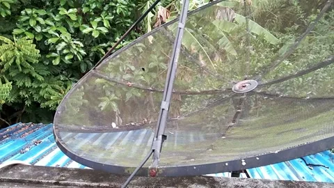 Big star dish surrounded by natural nature. Stock Footage 163704595