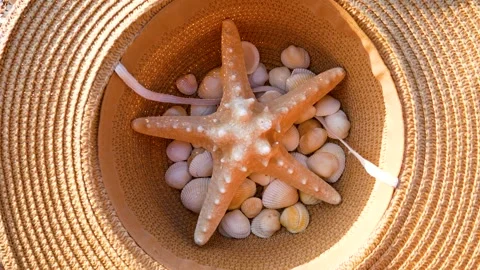 Big starfish and seashells in summer straw hat on sandy beach. Rest by the sea. Stock Footage 266819848
