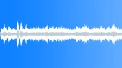 Big starlings flock in city park loopSound Effect