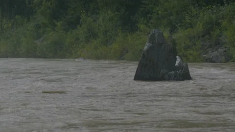 Big stone between the River Stock Footage 201839695