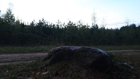 Big stone close up in the forest on the road. Stock Footage 107626508