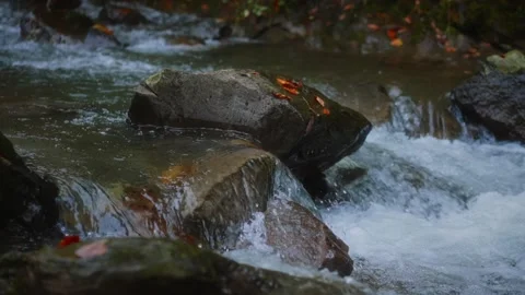 Big stone in the course of a mountain river 스톡 동영상 220937412