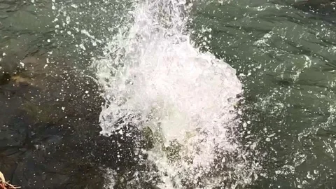 Big stone is falling into mountain river and produces splashes, waves and drops. Stock Footage 97328867