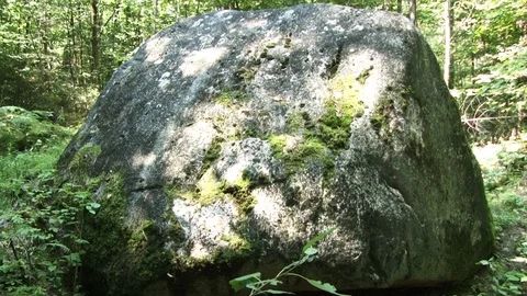 Big Stone in the Forest Stock Footage 93179303