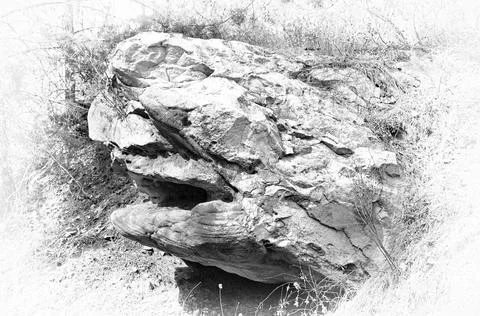 Big stone in the forest. Ilustración de archivo