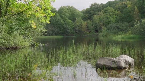 A big stone in a forest lake Stock Footage 97071636