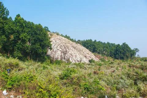 Big stone with forest Stock Photos