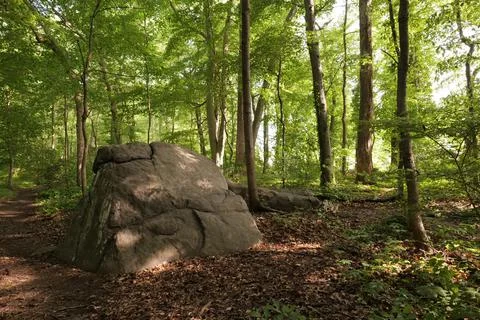 Big Stone in the forest Stock Photos
