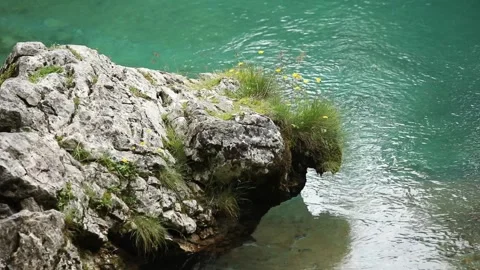 Big stone with grass and moss on the shore of a mountain lake with blue water. Stock Footage 245415481