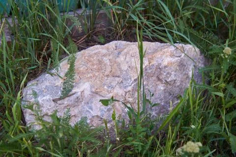 A big stone in the grass Stock Photos