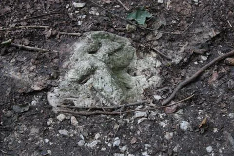 Big stone on the ground in the forest Foto stock
