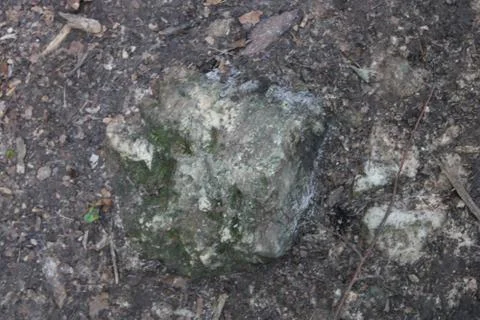 Big stone in the ground Stock Photos