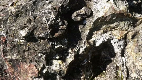 Big stone - karst limestone. Video of surface a stone Stock Footage 158882259