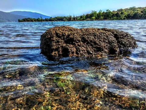 A big stone in the middle of River. Stock Photos