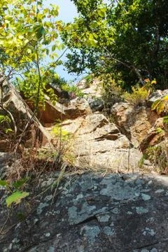 Big stone in mountain forest Stock Photos