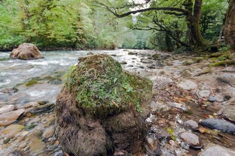 Big stone in a mountain river Stock Photos