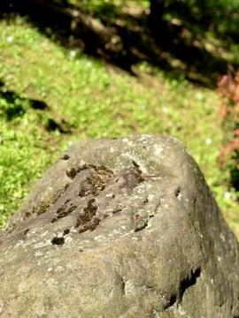 Big stone in the park Stock Photos