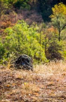 A big stone Foto stock