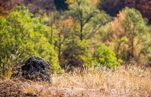 A big stone Stock Photos