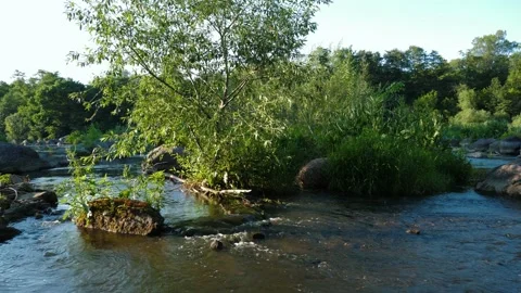 Big stones river Stock Footage 200907679