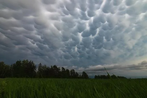 Big storm cloud over the fields mammatus clouds Stock Photos