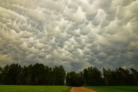 Big storm cloud over the fields mammatus clouds Foto stock