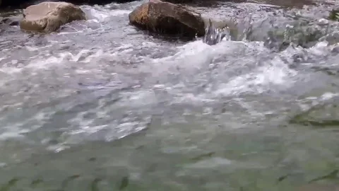 Big stounes in the mountain river Stock Footage 71541643