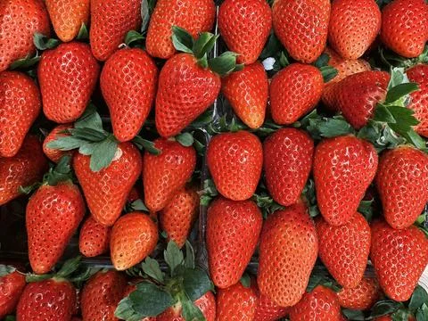 Big strawberry boxes top view texture Stock Photos