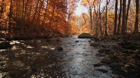 Big stream surrounded by autumn trees Stock Footage 8984257