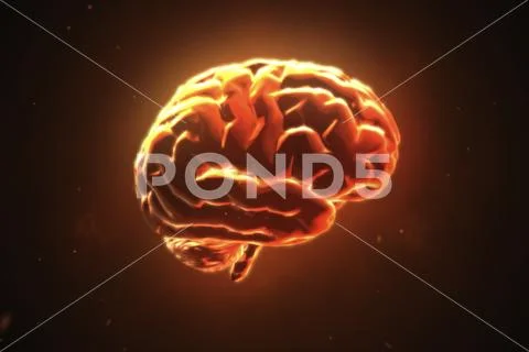 Big strong brain pulsing in orange 3d illustration Stock Illustration