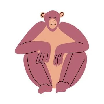 Big strong red monkey sitting over white background vector illustration Stock Illustration