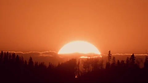 Big sun goes down in forest Stock Footage 245486058