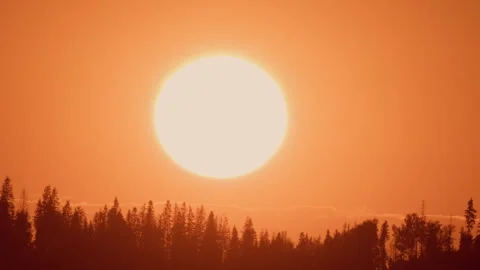 Big sun goes down in forest Stock Footage 256504000
