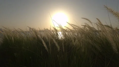 Big sun sunset over Dubai Skyline and creek UAE Stock Footage 144264571