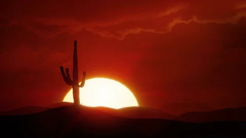 Big sunrise over desert with silhouette of cactus Stock Footage