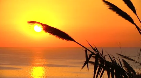 Big sunset Beirut 스톡 동영상 58209644