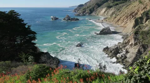 Big Sur Cliffs and wildflowers 스톡 동영상 57925050