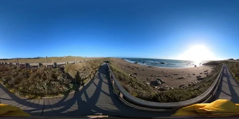 Big Sur Elephant Seals VR 360 POV Equirectangular 04 San Simeon California Coast Video stock 242083653