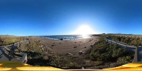 Big Sur Elephant Seals VR 360 POV Equirectangular 05 San Simeon California Coast 스톡 동영상 242084653
